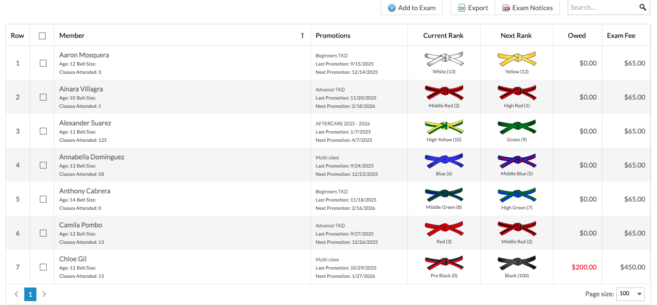 Black Belt Membership martial arts software promotion screen showing student belt rank advancement management